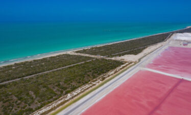 Private Transport: Pink Salt Lakes + Rio Lagartos